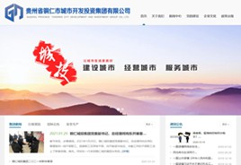 贞丰城市开发投资集团有限公司