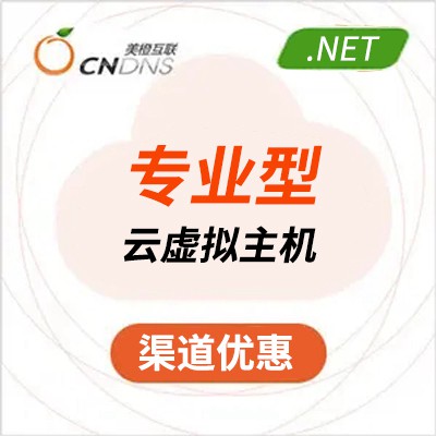 贞丰美橙专业型NET虚拟主机