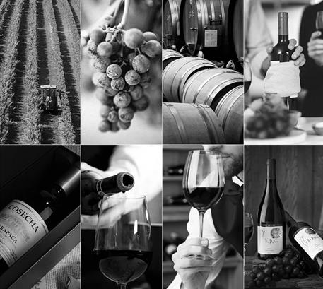 贞丰葡萄酒生产企业模板网站开发